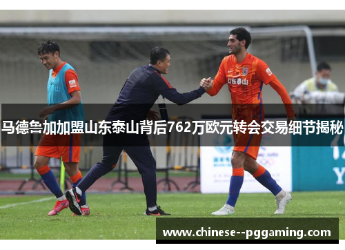 马德鲁加加盟山东泰山背后762万欧元转会交易细节揭秘