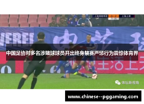 中国足协对多名涉赌球球员开出终身禁赛严惩行为震惊体育界 中国足协对多名涉赌球球员开出终身禁赛严惩行为震惊体育界